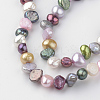 Natural Cultured Freshwater Pearl Beads Strands PEAR-Q007-12-3