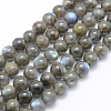 Natural Labradorite Beads Strands X-G-P336-19-8mm-1