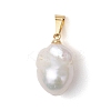 Natural Baroque Pearl Keshi Pearl Pendants PALLOY-JF05003-3