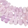 Natural Kunzite Beads Strands G-L657-E05-01-4