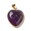 Natural Amethyst Pendants G-K335-04G-17-2