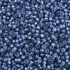 MIYUKI Round Rocailles Beads SEED-X0054-RR0648-3