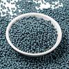 MIYUKI Round Rocailles Beads SEED-X0055-RR4479-2