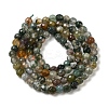 Natural Moss Agate Beads Strands G-H302-A03-01-3