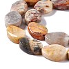 Natural Crazy Lace Agate Beads Strands G-M208-14-4
