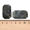 Natural Labradorite Pendants G-H325-03I-3