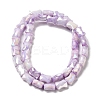 Electroplate Glass Beads Strands GLAA-D013-06G-2