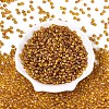 Picasso Baking Paint Glass Seed Beads SEED-N007-35C-2