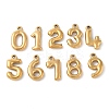 10Pcs 10 Styles 304 Stainless Steel Pendants STAS-K312-01G-1