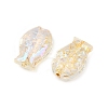 Electroplate and Golden Metal Enlaced Glass Beads X-EGLA-T029-01M-3