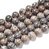 Natural Leopard Skin Jasper Beads Strands G-R474-004-1