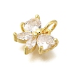 Rack Plating Brass Micro Pave Cubic Zirconia Charms KK-I716-22G-02-2