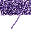 MIYUKI Delica Beads LS-X-SEED-J020-DB2509-4