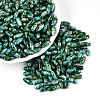 Baking Paint Glass Seed Beads SEED-N008-06I-1