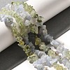 Natural Prehnite & Blue Lace Agate Beads Strands G-L610-A20-01-2