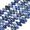 Natural Kyanite Beads Strands G-L649-A01-01-2