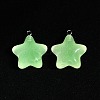 Luminous Tansparent Acrylic Pendants LS-LACR-WH0071-01-3