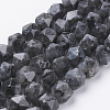 Natural Black Larvikite Beads Strands G-J376-47A-10mm-1