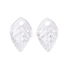 Transparent Acrylic Charms TACR-G050-02D-1