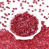Transparent Colours Glass Seed Beads SEED-Q042-01A-A06-2