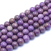 Natural Lepidolite/Purple Mica Stone Beads Strands G-L552H-09C-1