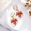 Brass Micro Pave Cubic Zirconia Leverback Earrings EJEW-K300-42G-1