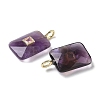 Natural Amethyst Pendants G-I391-03G-02-2