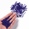 Baking Paint Glass Seed Beads SEED-S002-K6-4