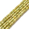 Natural Idocrase Beads Strands G-I339-03A-2