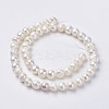 Natural Cultured Freshwater Pearl Beads Strands PEAR-D187-14-2