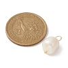 Natural Freshwater Pearl Pendants X-PALLOY-JF02153-01-3