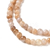 Natural Pink Shell Beads Strands SHEL-D002-A01-3mm-4