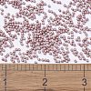 MIYUKI Delica Beads LS-SEED-J020-DB1166-4