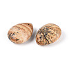 Natural Picture Jasper Pendants G-T143-18A-07-2