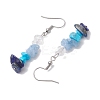 Natural Mixed Stone & Synthetic Turquoise Dangle Earrings EJEW-JE06030-5