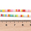Handmade Lampwork Beads Strands LAMP-L078-008N-2
