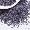 MIYUKI Delica Beads SEED-MY11-DB1174-1