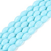 Opaque Solid Color Glass Beads Strands GLAA-N071-01A-C06-1