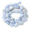 Natural Blue Lace Agate Beads Strands G-G117-B07-02-3