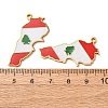 304 Stainless Steel & Enamel Pendants SA-CBA6ECE-01D-G-2