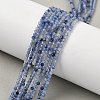 Natural Blue Aventurine Beads Strands G-M449-B01-2mm-1