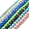 Synthetic Turquoise and Sea Shell Assembled Beads Strands G-D482-01D-1
