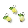 Acrylic Pendants PALLOY-JF02614-01-5