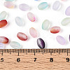 Frosted Glass Seed Beads SEED-N008-05-4