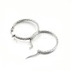 304 Stainless Steel Hoop Earrings EJEW-O024-20-3