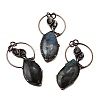 Natural Labradorite Feather Ring with Leaf Big Pendants G-Q350-04A-1