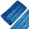 Polyester with PT Paillette Lace Trim Ribbon OCOR-WH20073-01E-1
