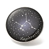 Twelve Constellation Creative Alloy Badges Constellation Brooches LS-JEWB-S033-01P-I-1