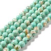 Synthetic Turquoise and Sea Shell Assembled Beads Strands G-D482-01D-08-2
