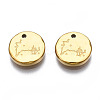 316 Surgical Stainless Steel Charms STAS-S116-418L-G-2